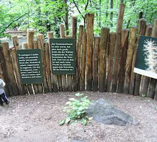 Rundzaun aus Kastanienholz