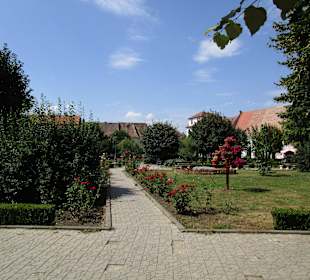 Altstadt Mediaş