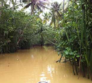 Backwatertouren werden vom Hotel angeboten