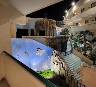 Loro Parque 
