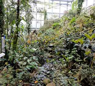 Das Borneo-Tropenhaus