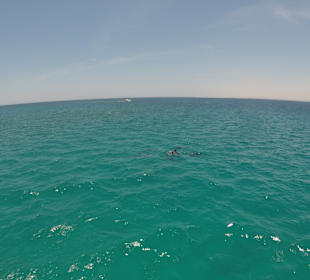 Stadtrundfahrt Hurghada