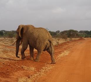 Geführte Touren Marco Polo Tours & Safaris Diani Beach
