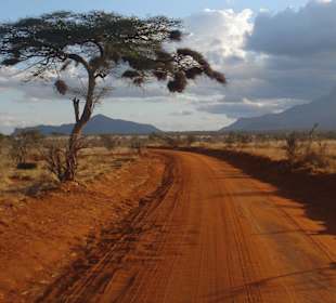 Nationalpark Tsavo (East)