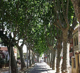 Stadtrundgang Pineda de Mar