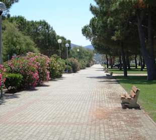 Spaziergang über die Strandpromenade Argelès-Plage