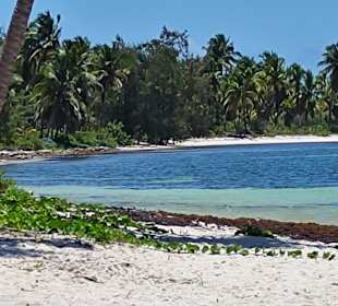 Isla Saona