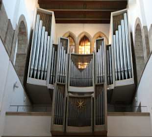 Domorgel