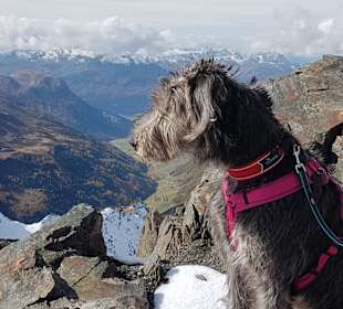 Kaunertaler Gletscher