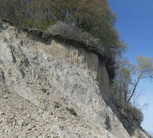 Bei unserer Wanderung an der Brodtener Steilküste