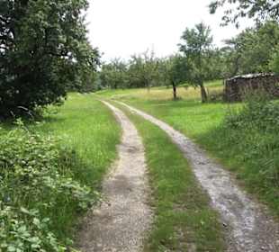 Premiumspazierweg Früchtetrauf-Leisawegle