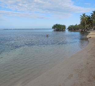Playa Jackson