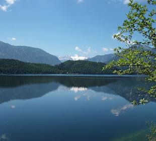 Blick auf den Dachstein
