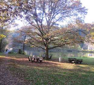 Der wunderschöne Helmbachweiher