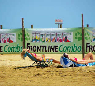 Strand Bibione 06_2011