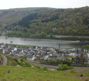 Kurz vor dem Ziel/Startpunkt des Rundweges