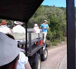 Aussichtspunkt Knysna