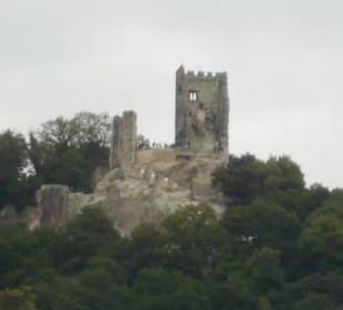 Fahrt mit MS Loreley