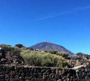 Blick auf den Teide von Portillio