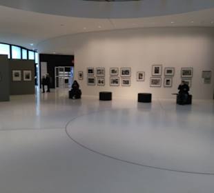 Ahnengalerie und Fotos