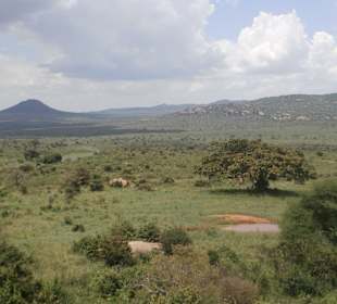 Blick von der Rhino Valley Lodge