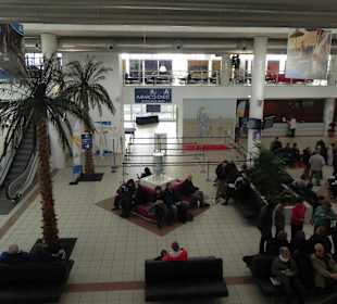 Cruise Terminal Savona / Italien