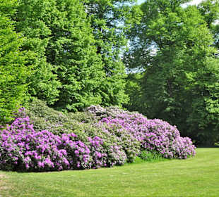 Rundgang durch den Hirschpark