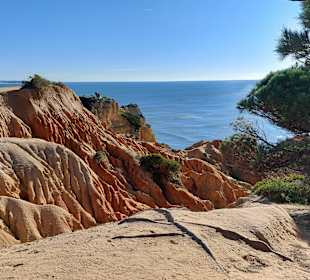 Seven Hanging Valleys Trail 