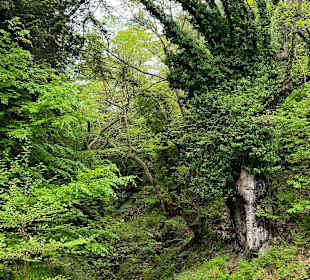 Wandern Nei Pori