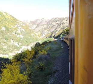 Mitder Taileri Railway durch die Natur Neuseelands