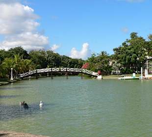 Parque Retiro Josone
