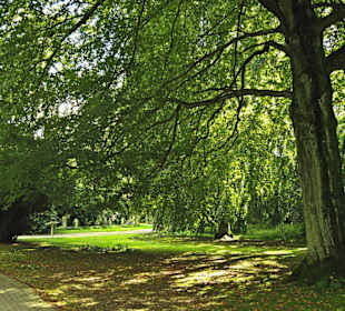 Кладбище Ольсдорф, Гамбург, 16 сентября 2013 года