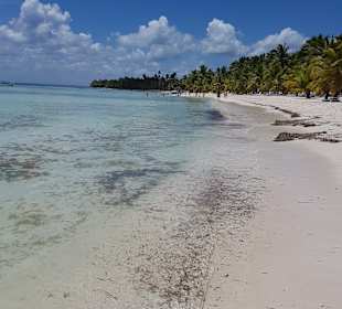 Isla Saona