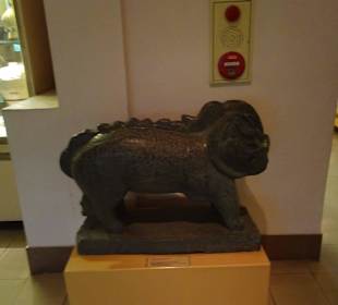 Im National Museum of History