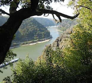 Blick an der Loreley