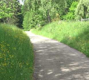 Flößerpfad Loßburg