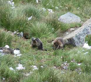 Grossglockner Hochalpenstrasse