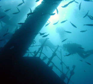 Ein tolles Wrack - die Ghiannis D.