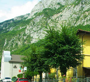 Hinten schon die Kathedrale 