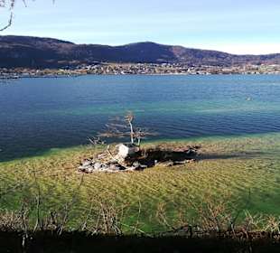 Wolfgangsee