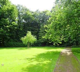 Hochsommer im Kurpark Bruchhausen-Vilsen