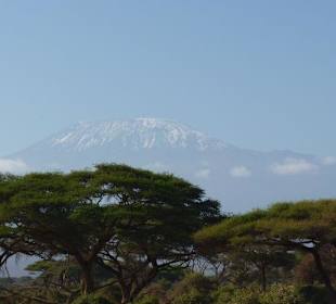 Und noch mal der Kili