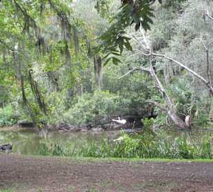 Wunderschönes Anwesen