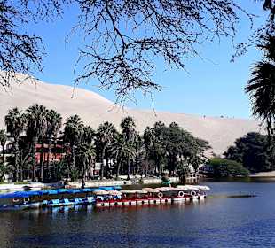 Oase Huacachina