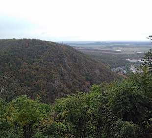 Hängeseilbrücke Rappbodetalsperre