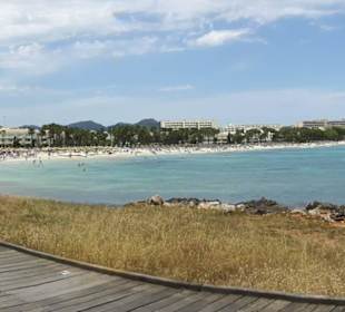 Panoramabild Strand & Umgebung