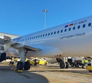 Flughafen Faro (FAO)