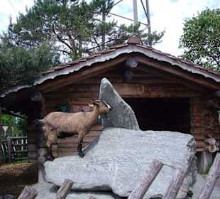 Heidiland