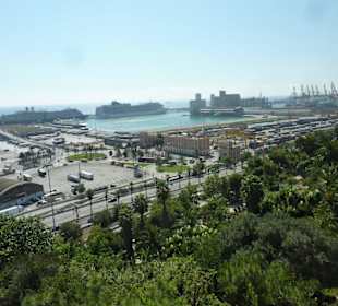 Kakteensammlung, dahinter Industriehafen