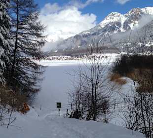 Am (zugefrorenen) Haidersee